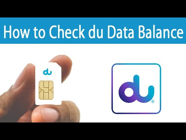 How to Check your DU Balance