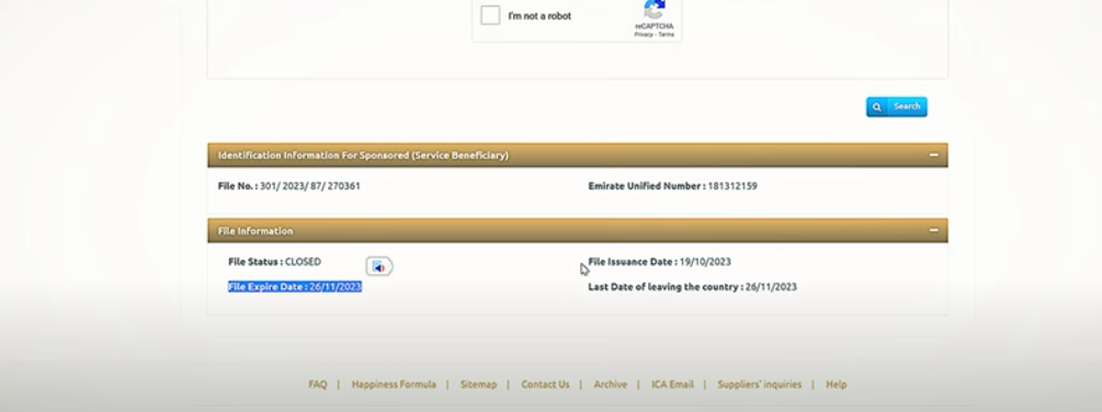 UAE Visa Status